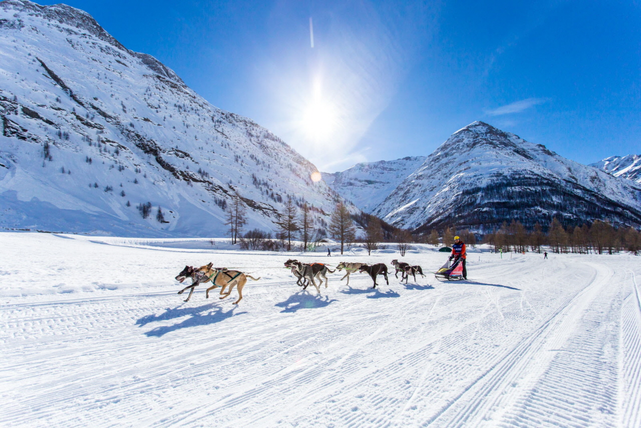 © Vincent Piccerelle