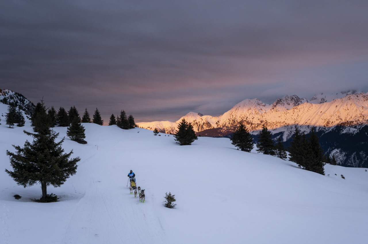 © Benoit Diacre