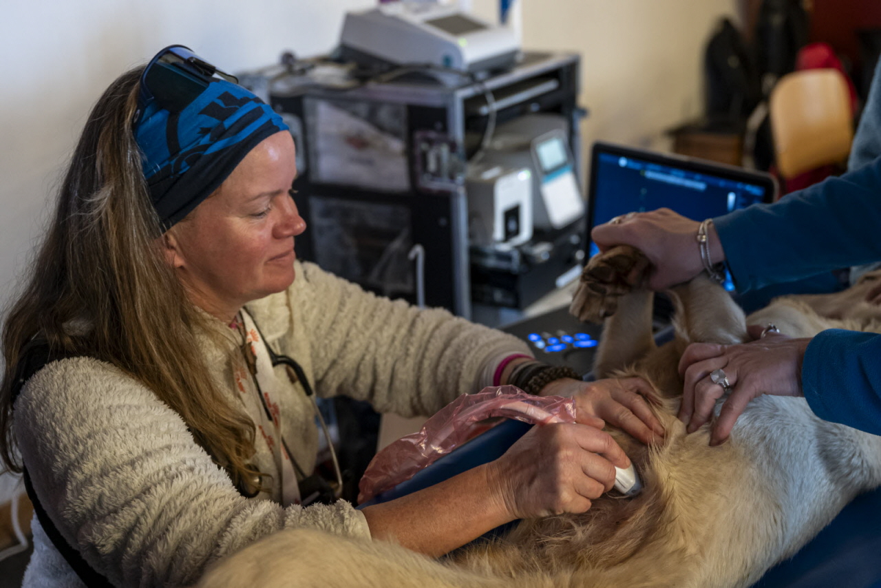 Presse LGO26 - 17.01.26 - Benoit Diacre - 47.jpg