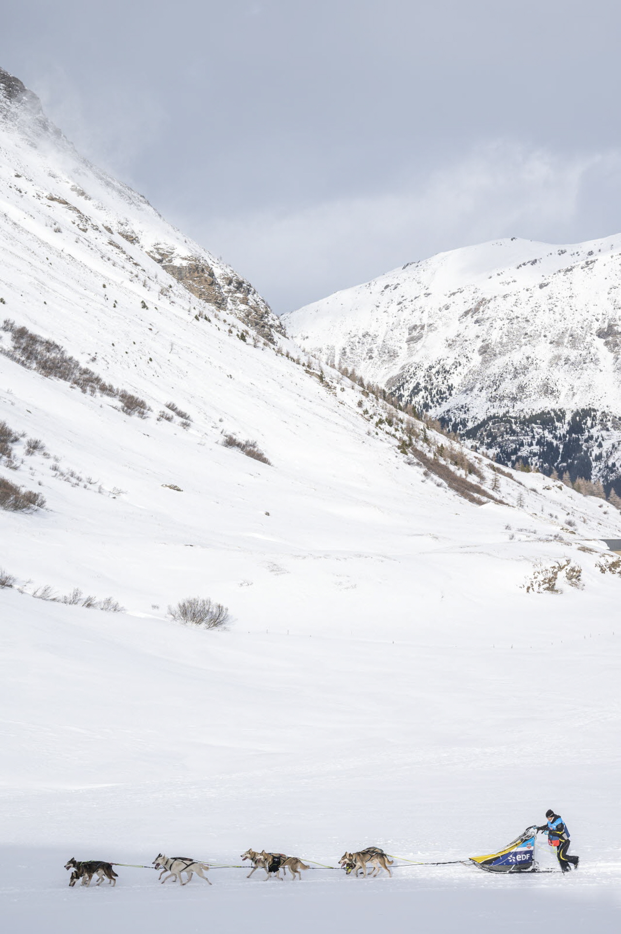 © Benoit Diacre