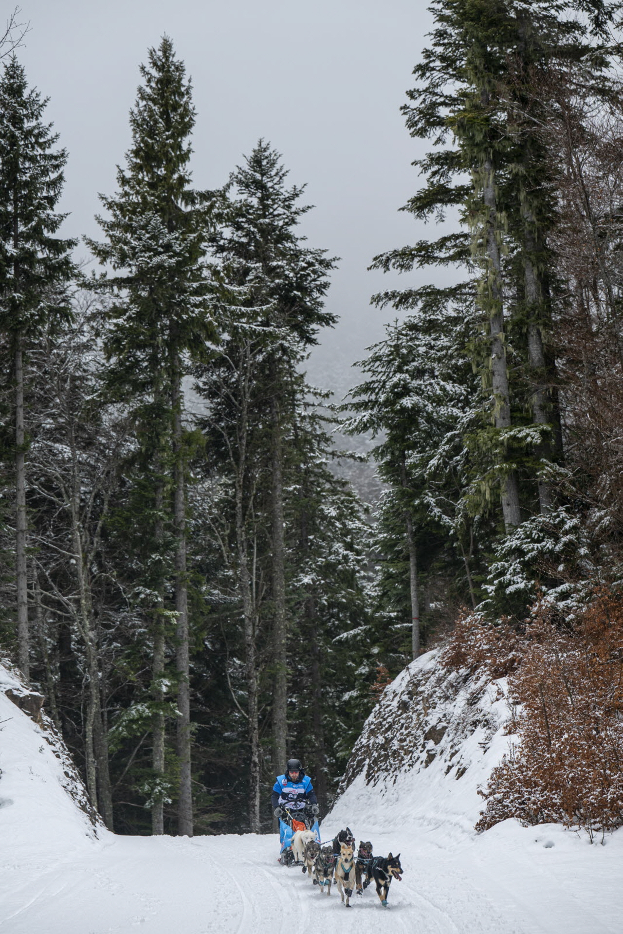 Presse LGO26 - 22.01.26 - Benoit Diacre - 2.jpg