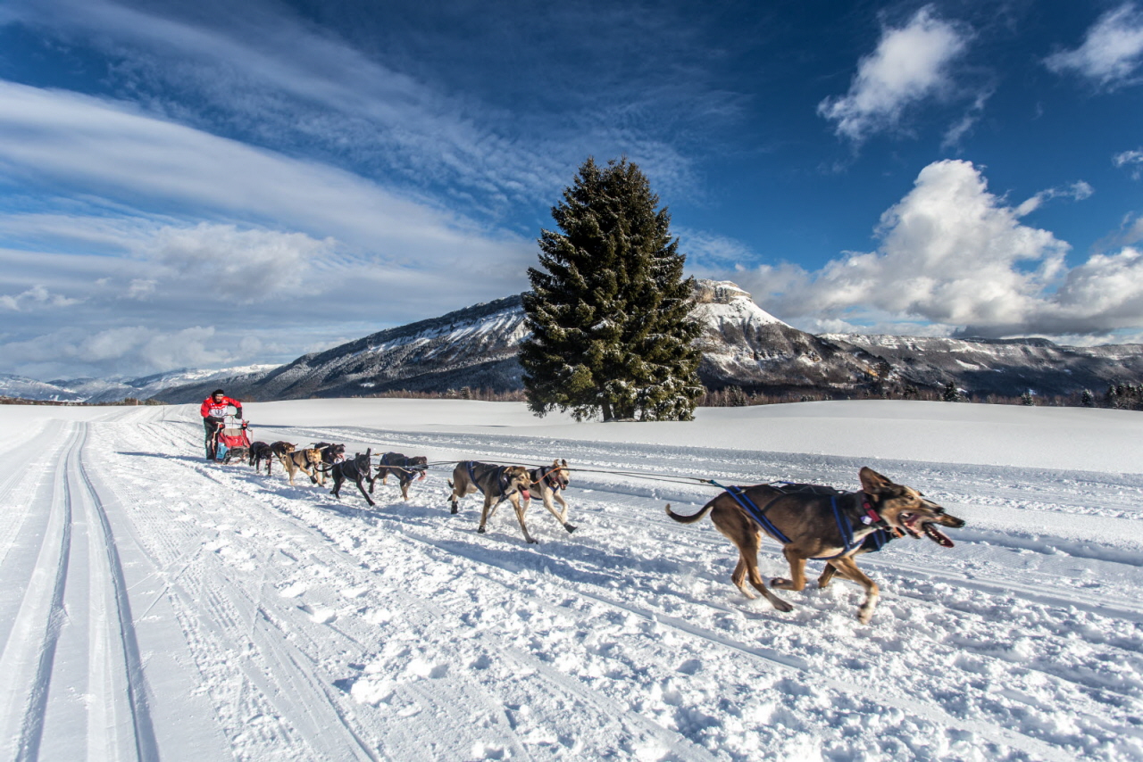 © Vincent Piccerelle