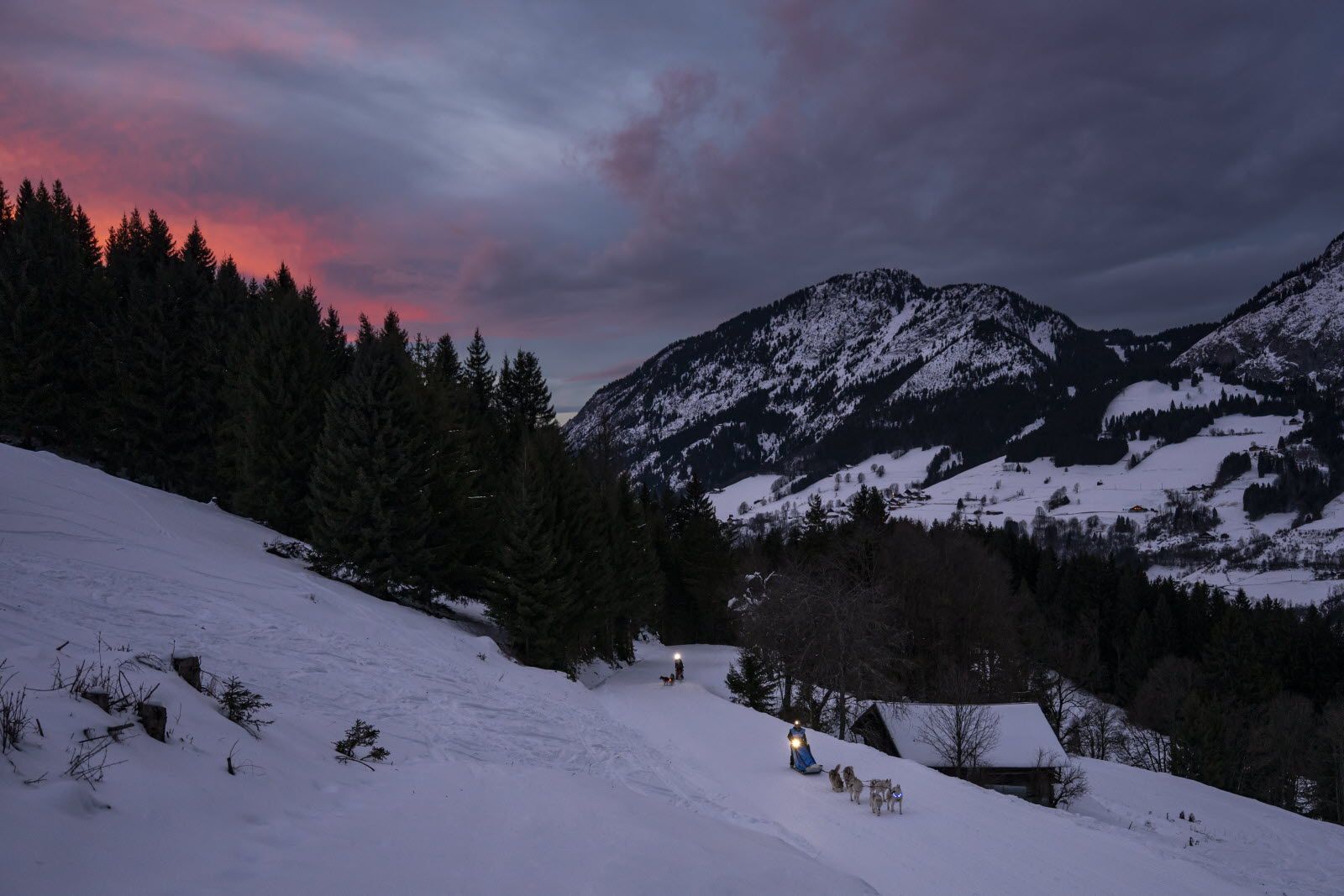 Presse LGO26 - 12.01.26 - Benoit Diacre - 2.jpg