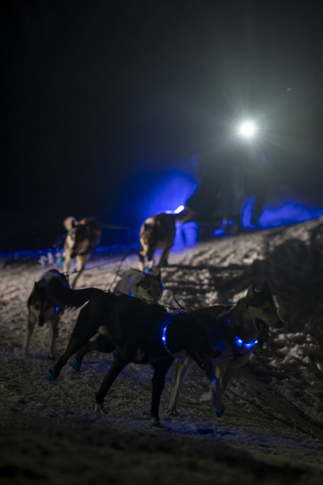 Presse LGO26 - 12.01.26 - Benoit Diacre - 21.jpg