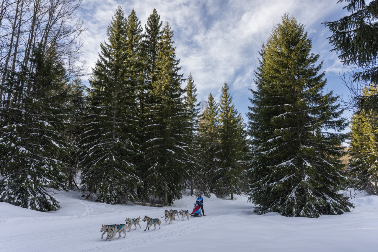 Presse LGO26 - 13.01.26 - Benoit Diacre - 3.jpg