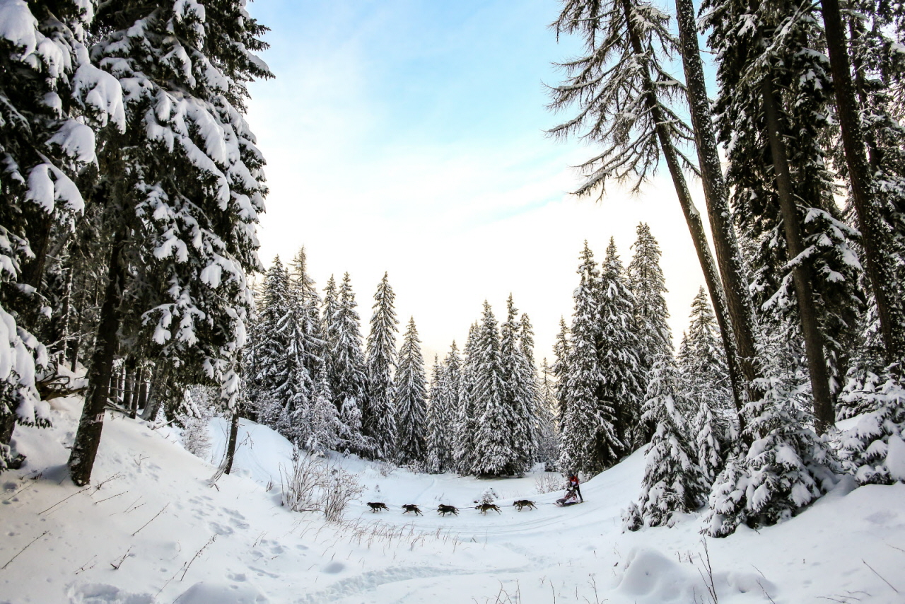 © Vincent Piccerelle