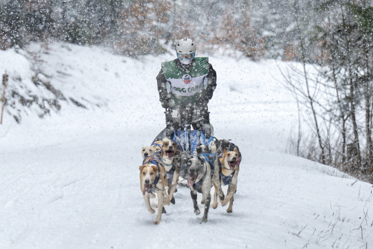 Presse LGO26 - 22.01.26 - Benoit Diacre - 10.jpg