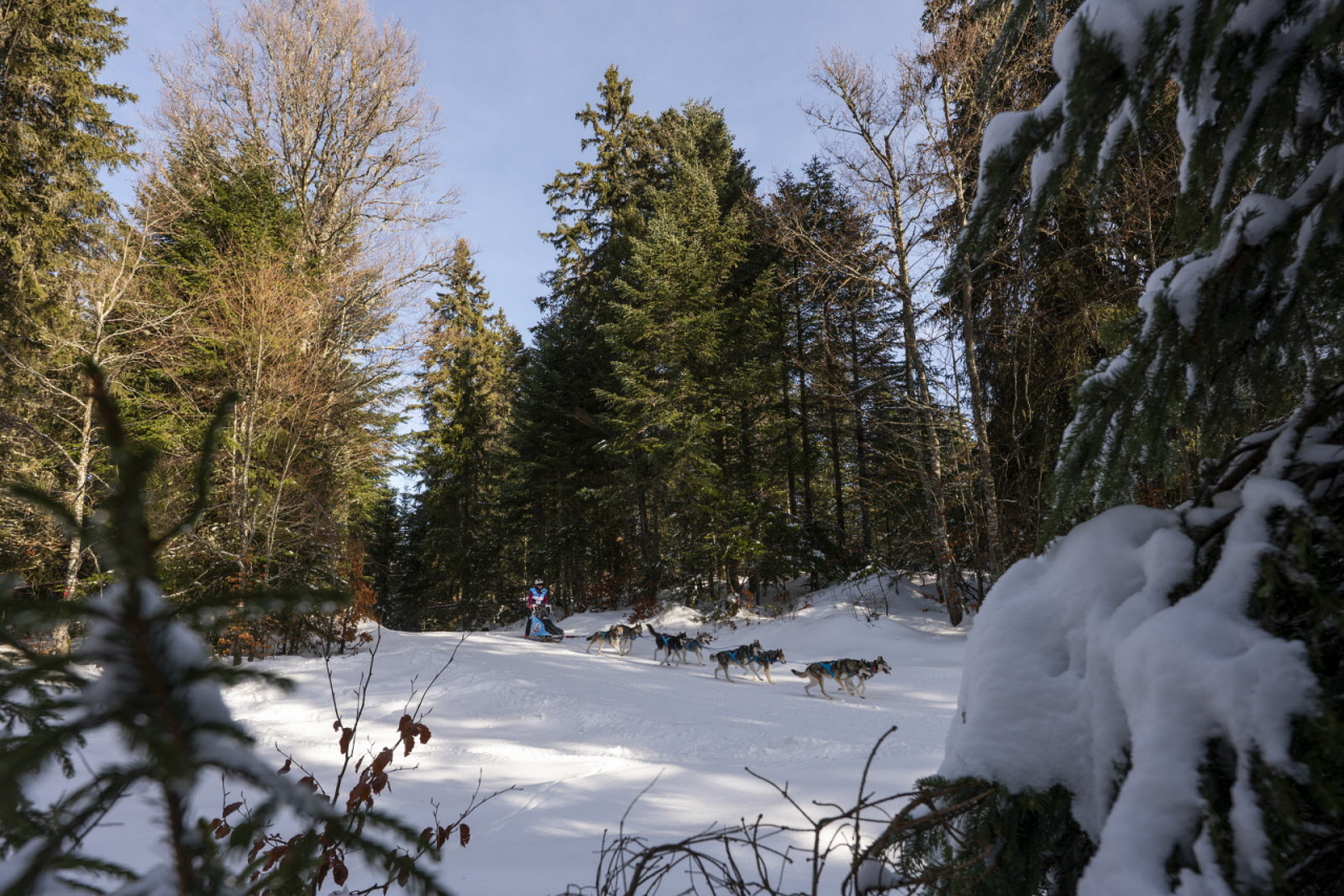 Presse LGO26 - 13.01.26 - Benoit Diacre - 36.jpg