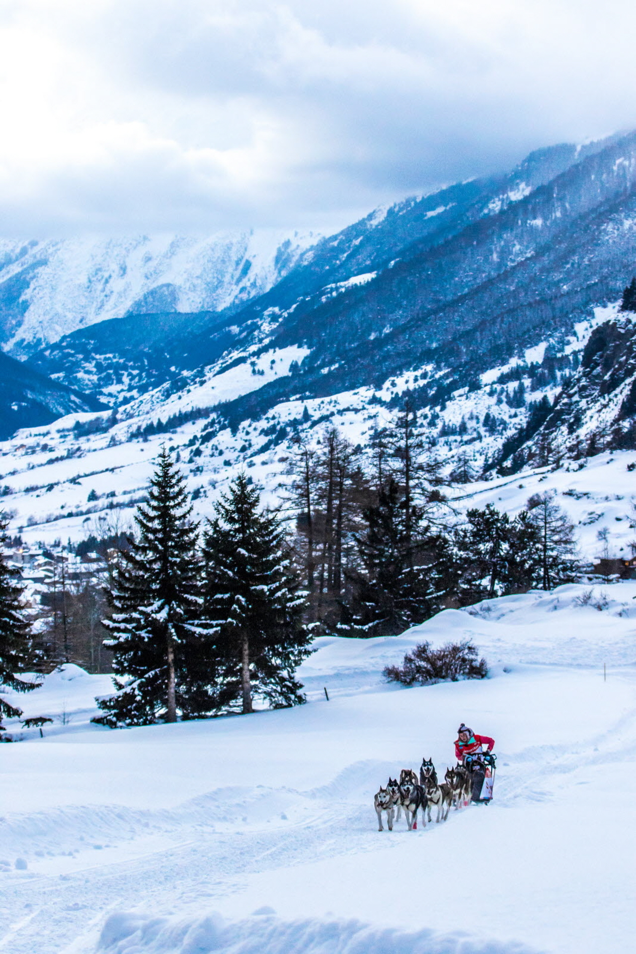 © Vincent Piccerelle