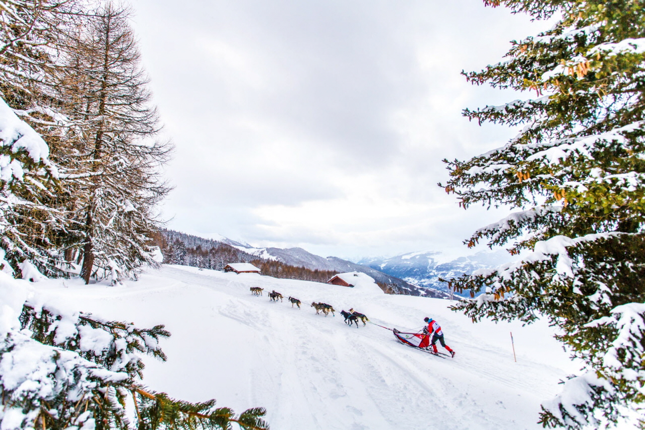 © Vincent Piccerelle