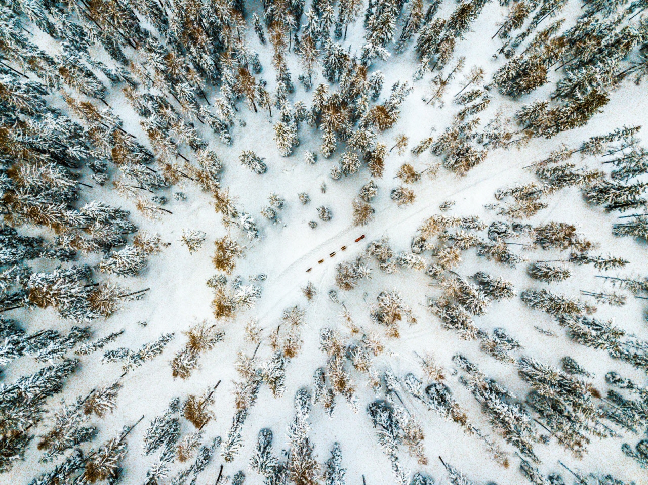 © Vincent Piccerelle