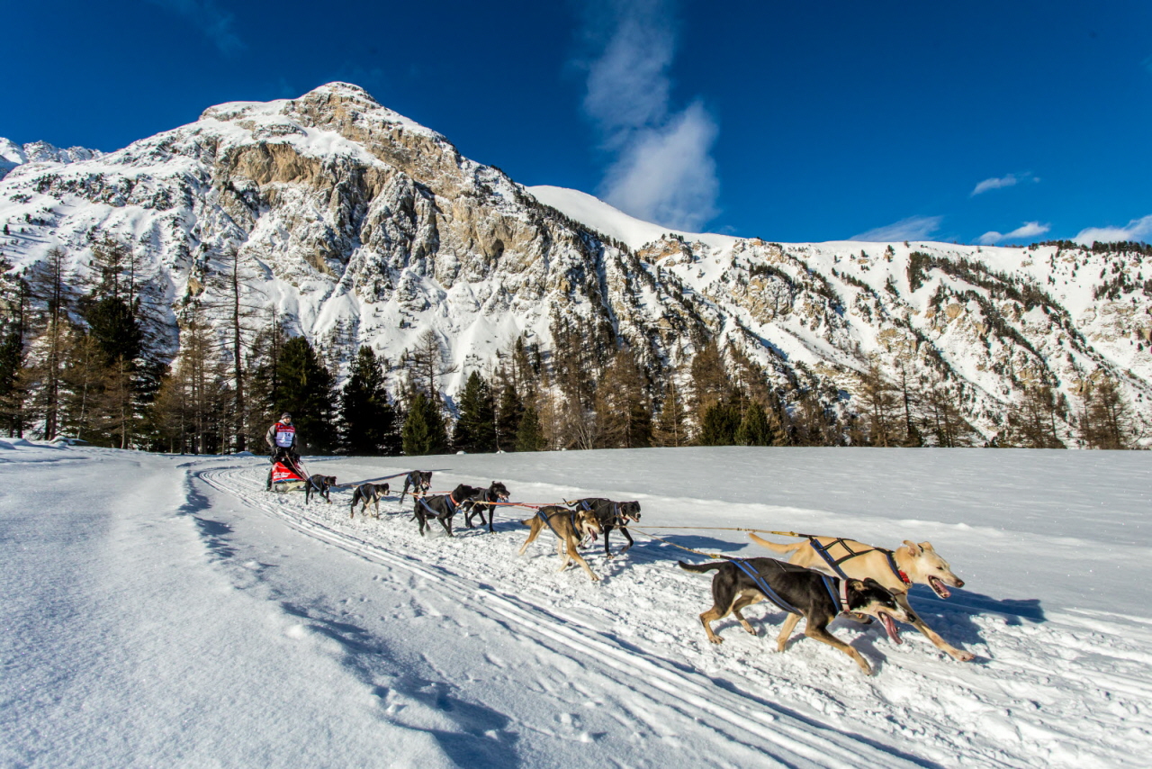 © Vincent Piccerelle