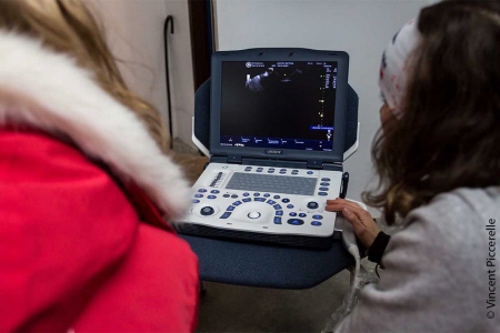 Les avancées scientifiques et thérapeutiques au service du bien-être animal