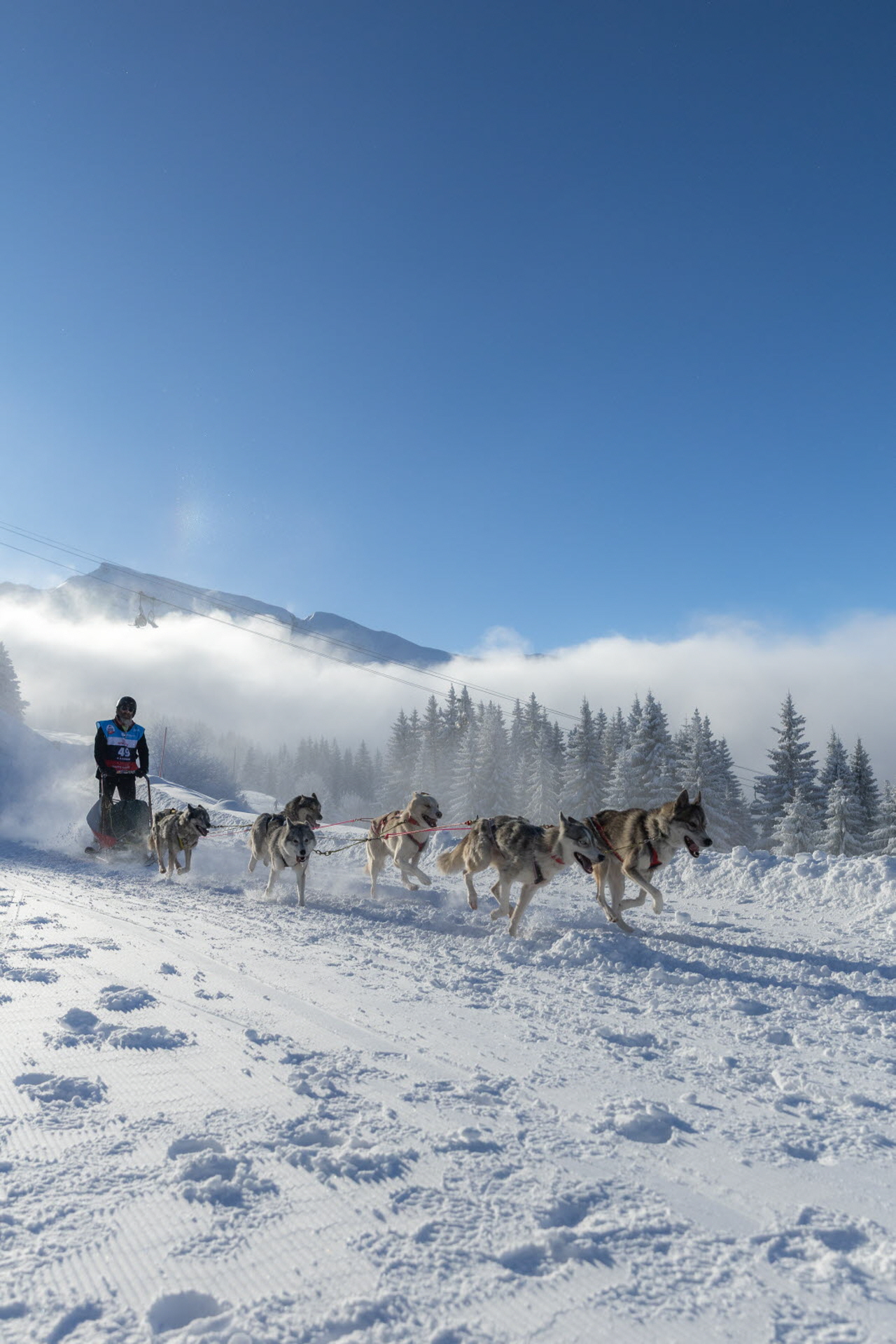 Presse LGO2026 110126 @jujuinstaphoto-4500 - Copie.jpg