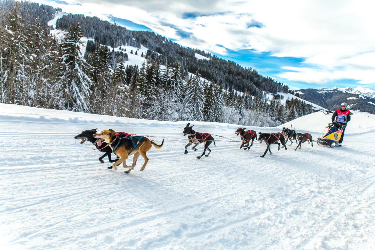 © Vincent Piccerelle