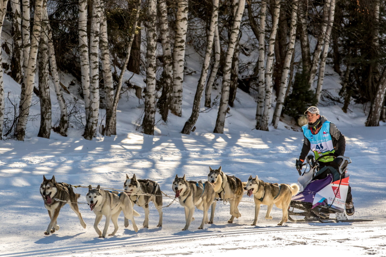 © Vincent Piccerelle