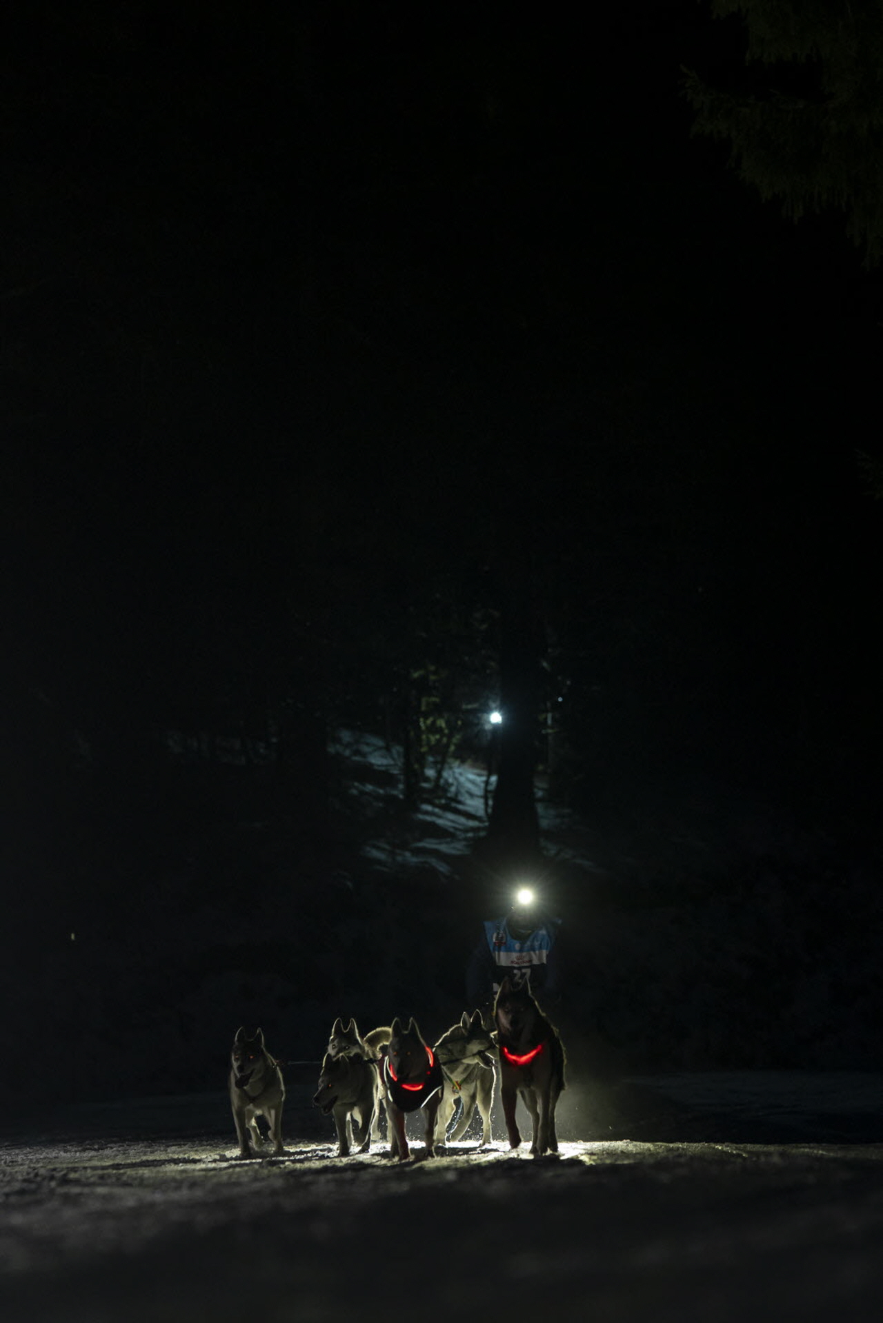 Presse LGO26 - 12.01.26 - Benoit Diacre - 15.jpg