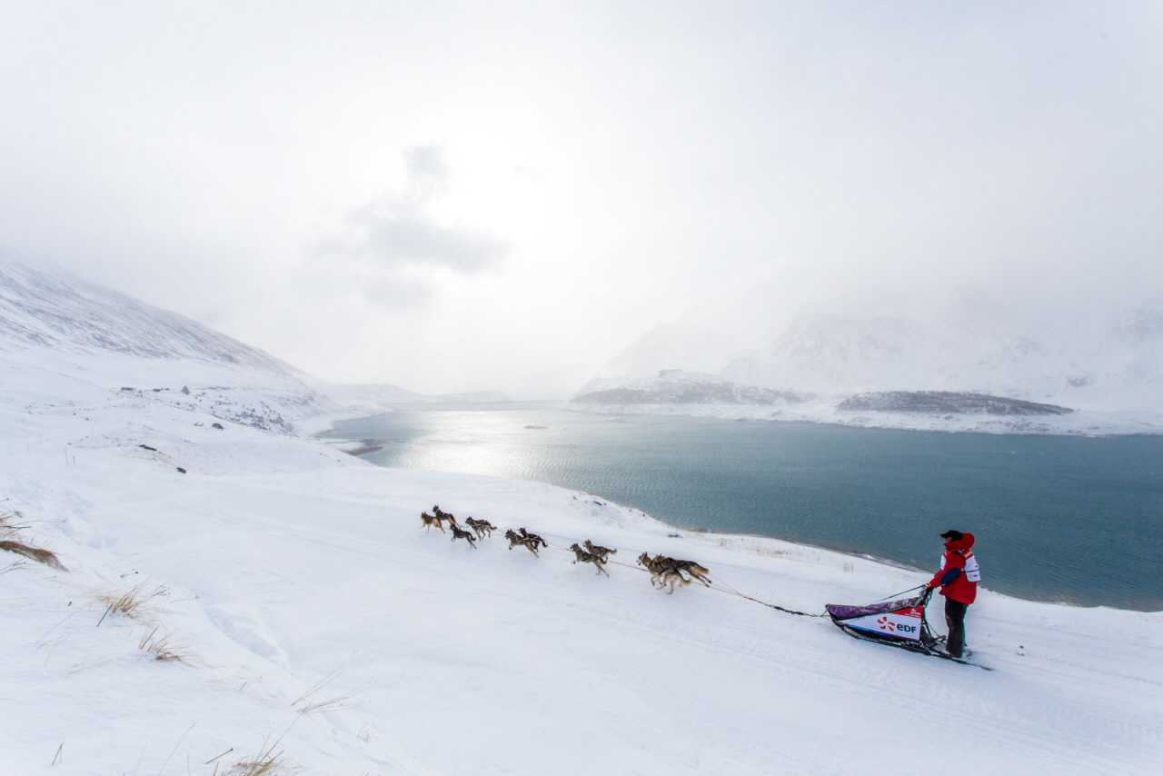 © Vincent Piccerelle