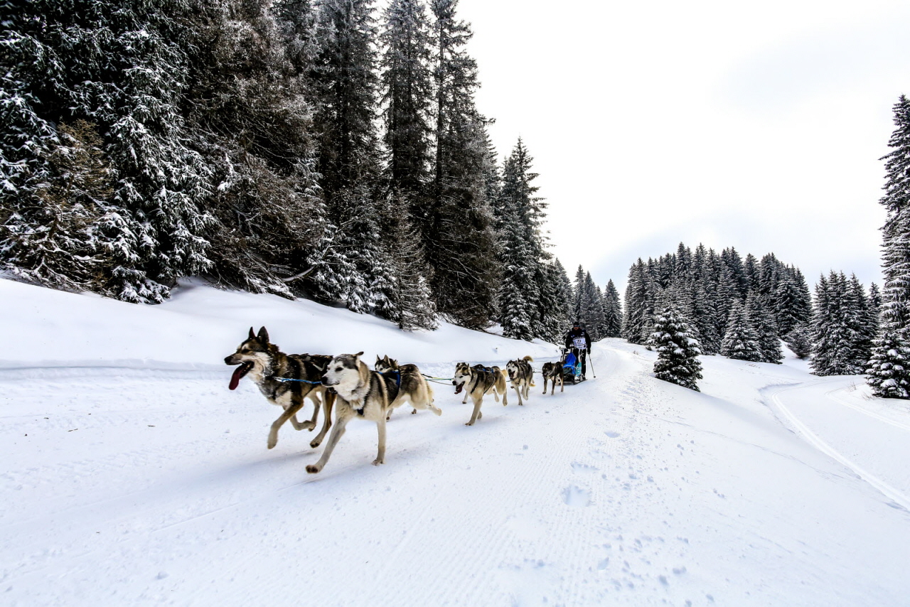 © Vincent Piccerelle