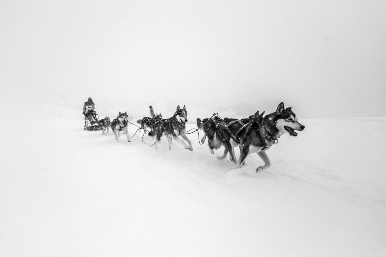 © Vincent Piccerelle
