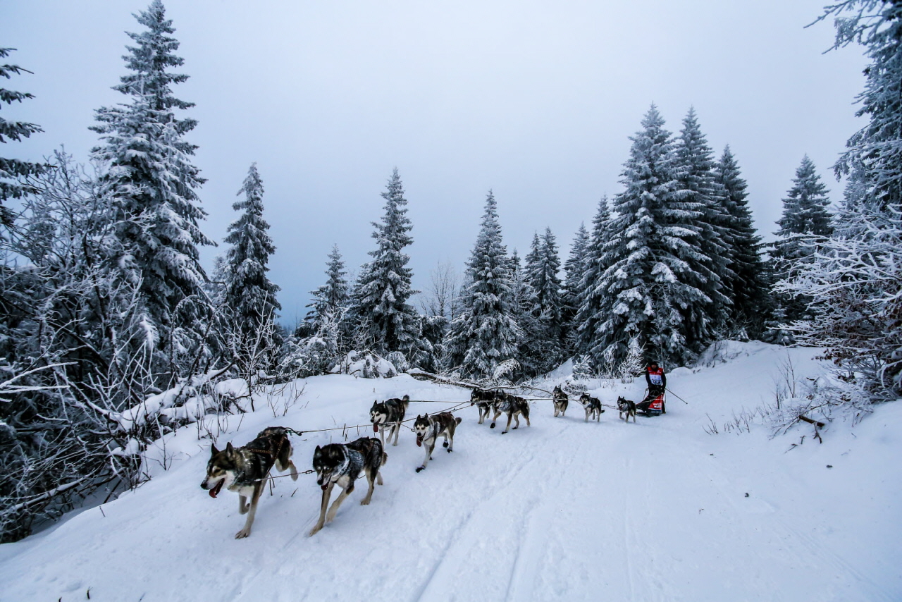 © Vincent Piccerelle