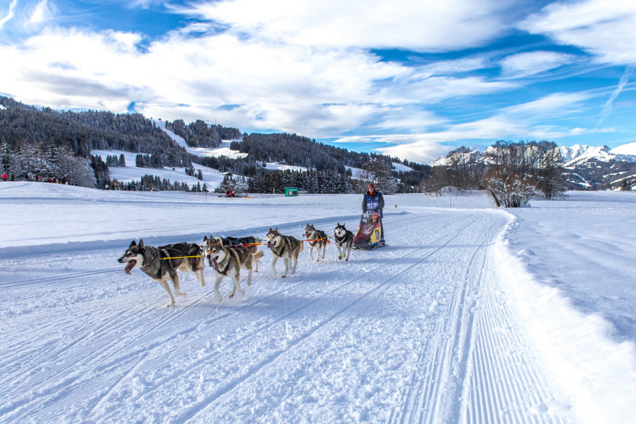 © Vincent Piccerelle