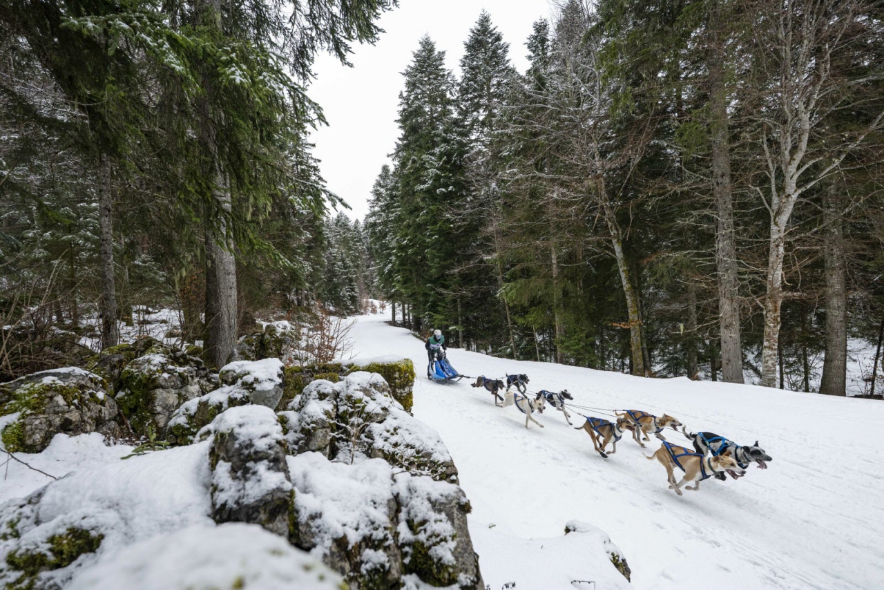 Presse LGO26 - 22.01.26 - Benoit Diacre - 13.jpg