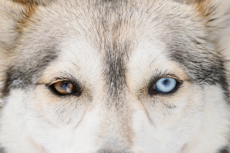 Classement par année