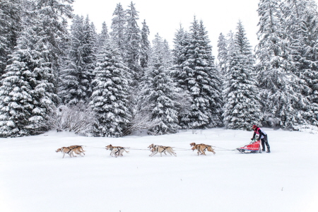 Étape 11 : Villard de Lans