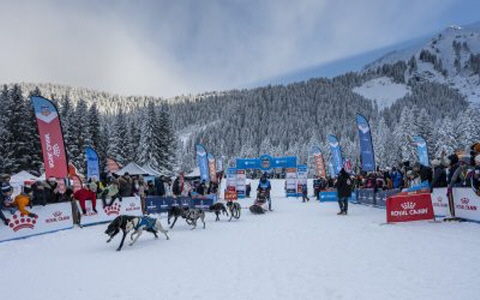 Une aventure inoubliable pour les 20 ans de La Grande Odyssée avec Royal Canin