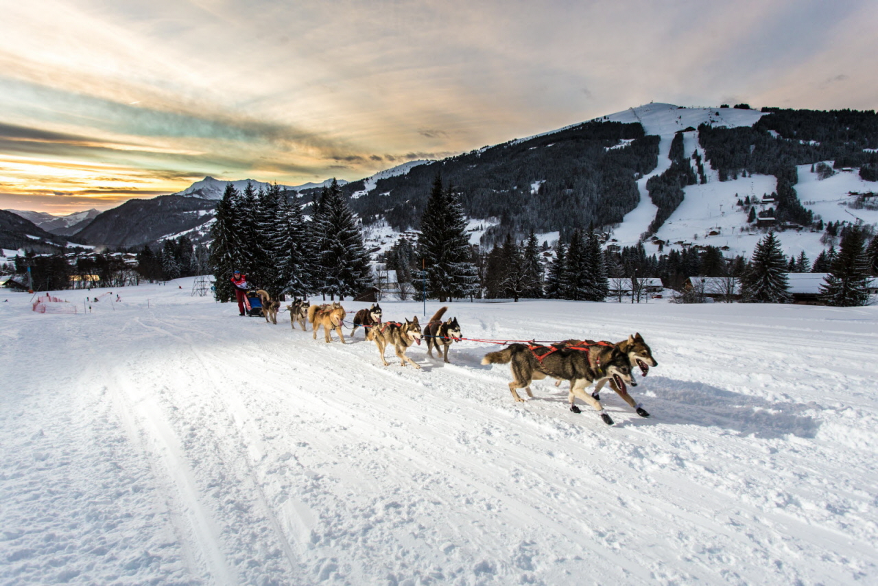 © Vincent Piccerelle