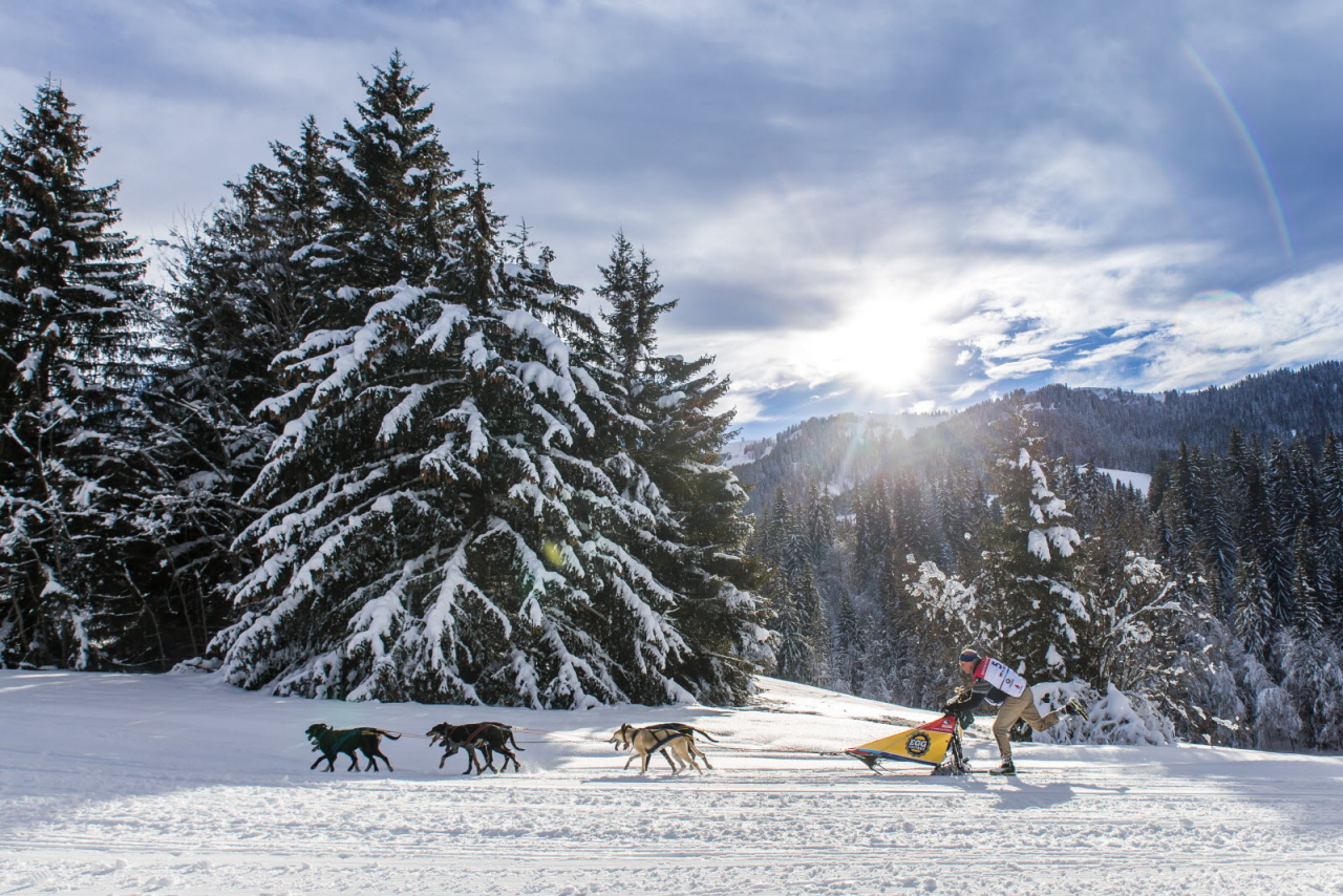 © Vincent Piccerelle