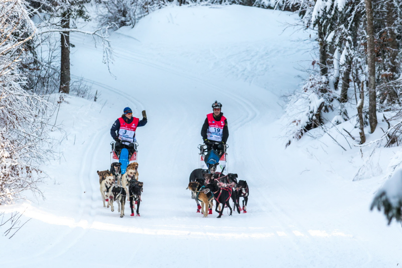 © Vincent Piccerelle