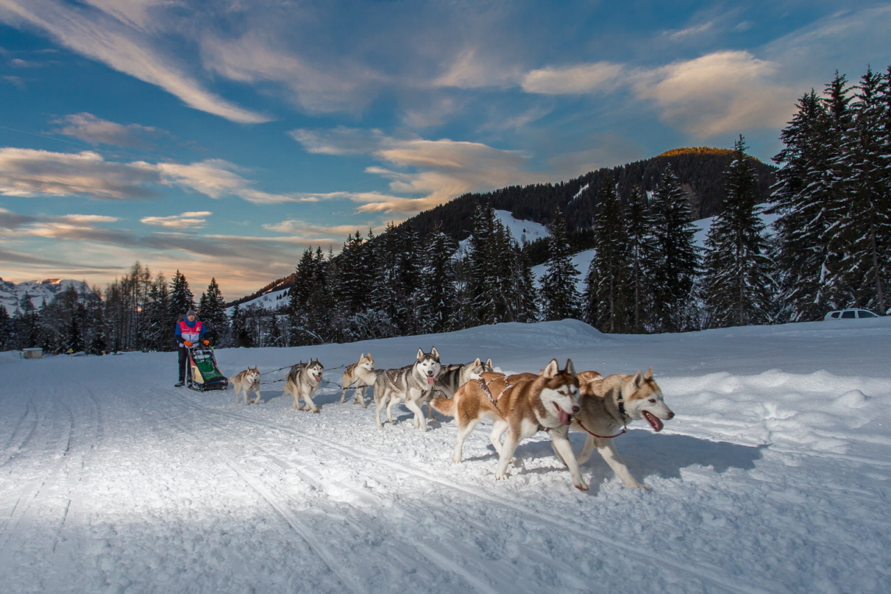 © Vincent Piccerelle