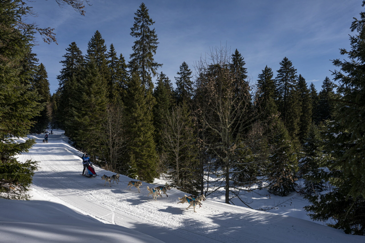 Presse LGO26 - 13.01.26 - Benoit Diacre - 9.jpg