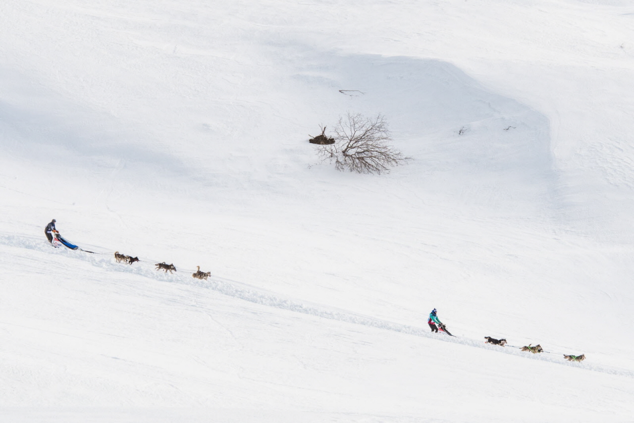 © Benoit Diacre
