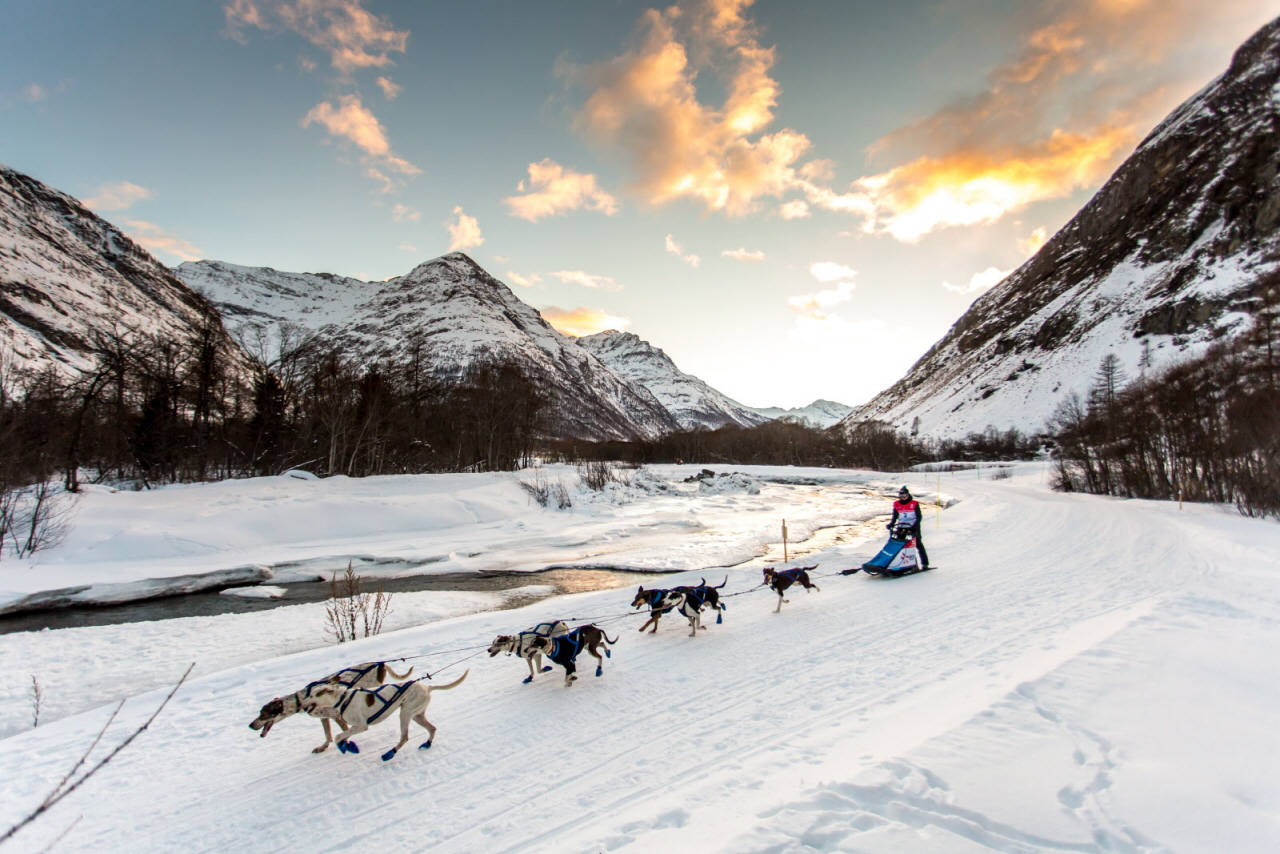 © Vincent Piccerelle