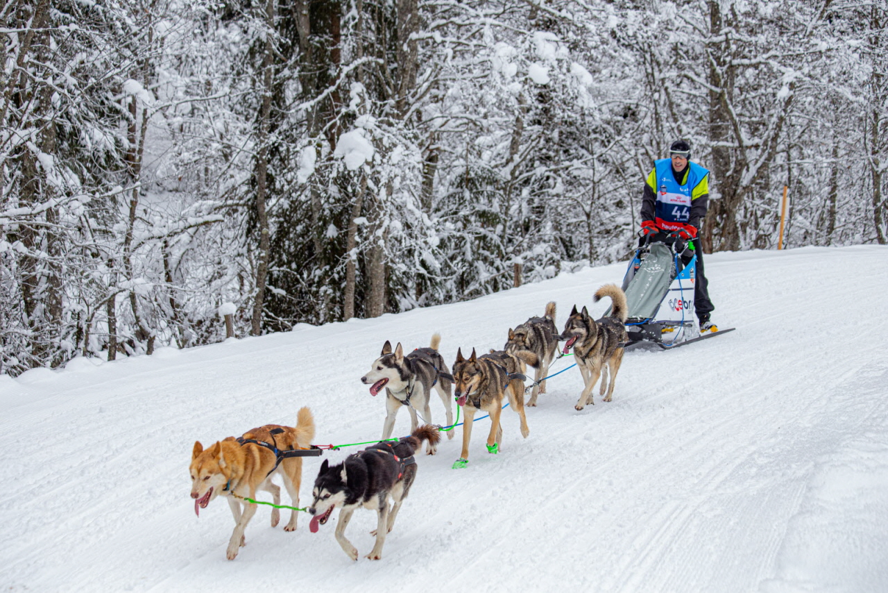 © François-Xavier Repellin