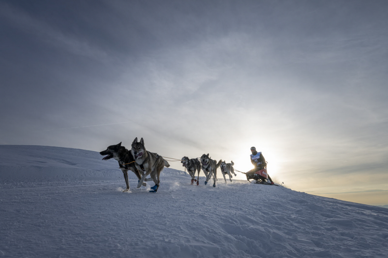 Presse LGO26 - 20.01.26 - Benoit Diacre - 2.jpg