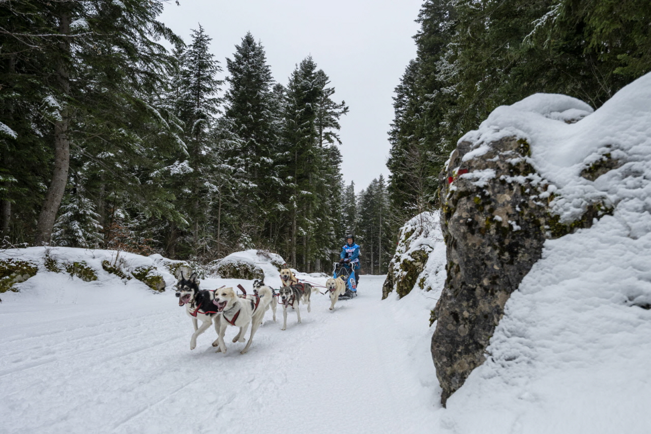 Presse LGO26 - 22.01.26 - Benoit Diacre - 4.jpg