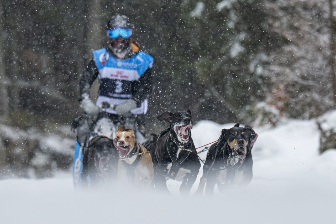 Presse LGO26 - 22.01.26 - Benoit Diacre - 11.jpg