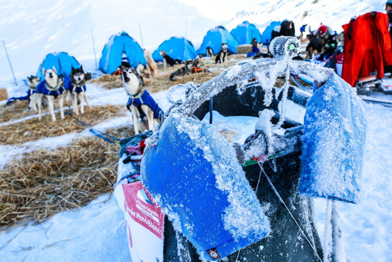 © Vincent Piccerelle