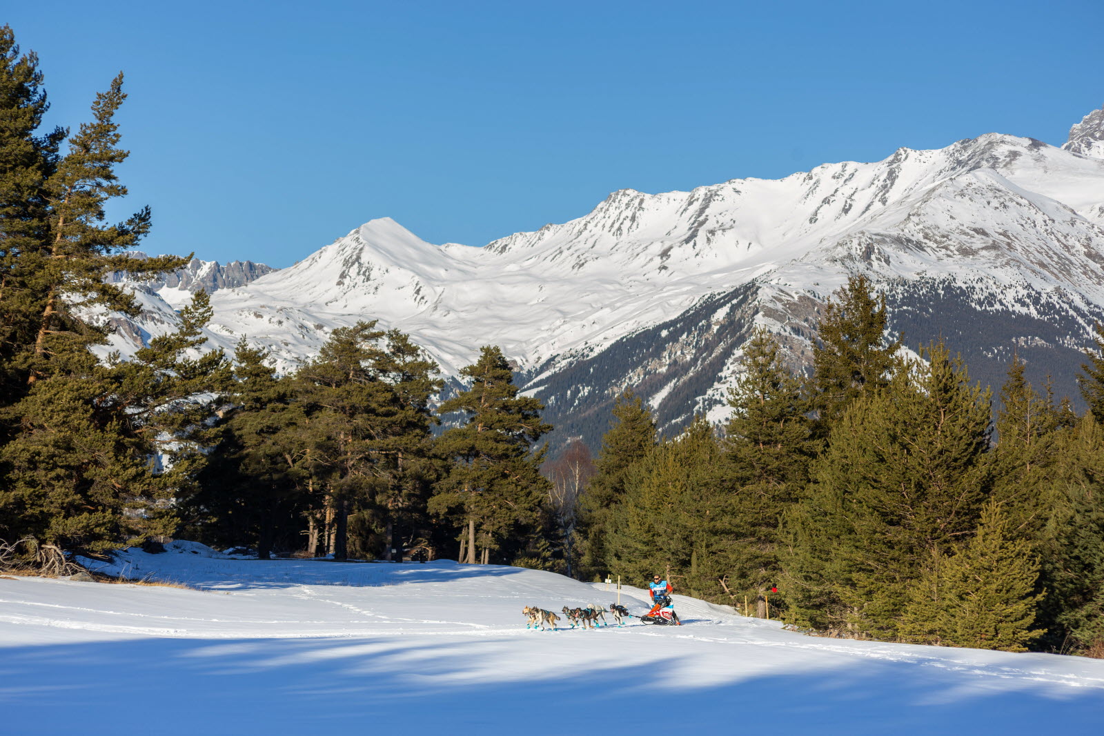 Presse LGO25 - 17012025 - Maëlys Pommier (2 sur 14).jpg