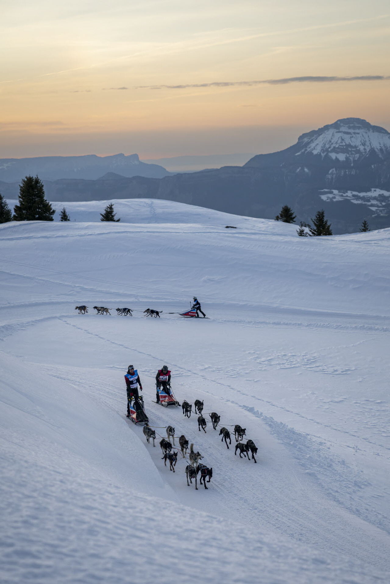 Presse LGO26 - 20.01.26 - Benoit Diacre - 6.jpg