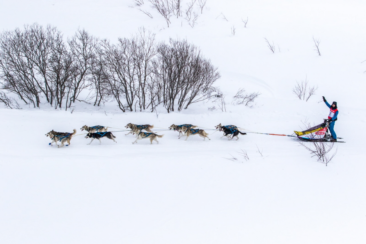 © Vincent Piccerelle