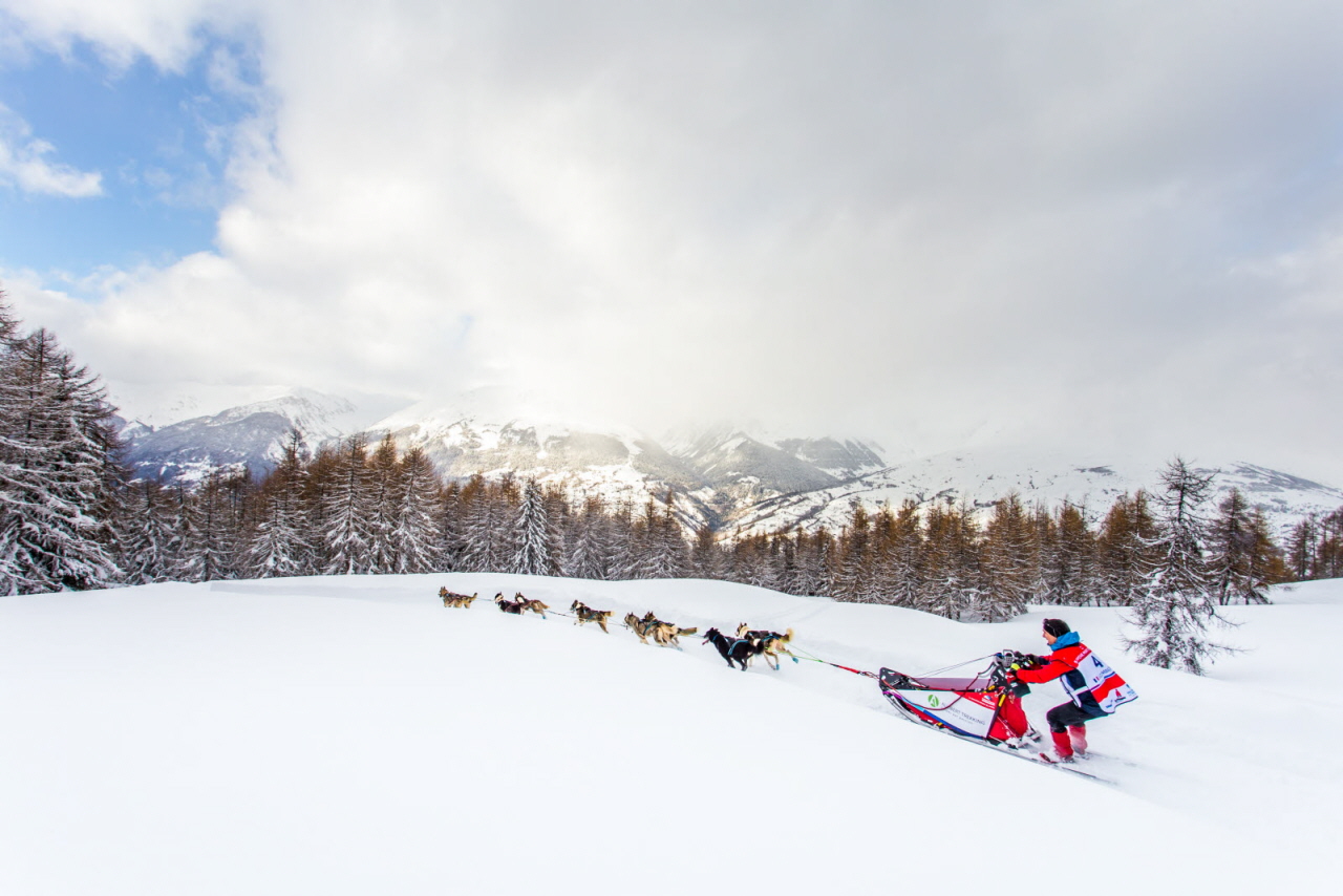 © Vincent Piccerelle