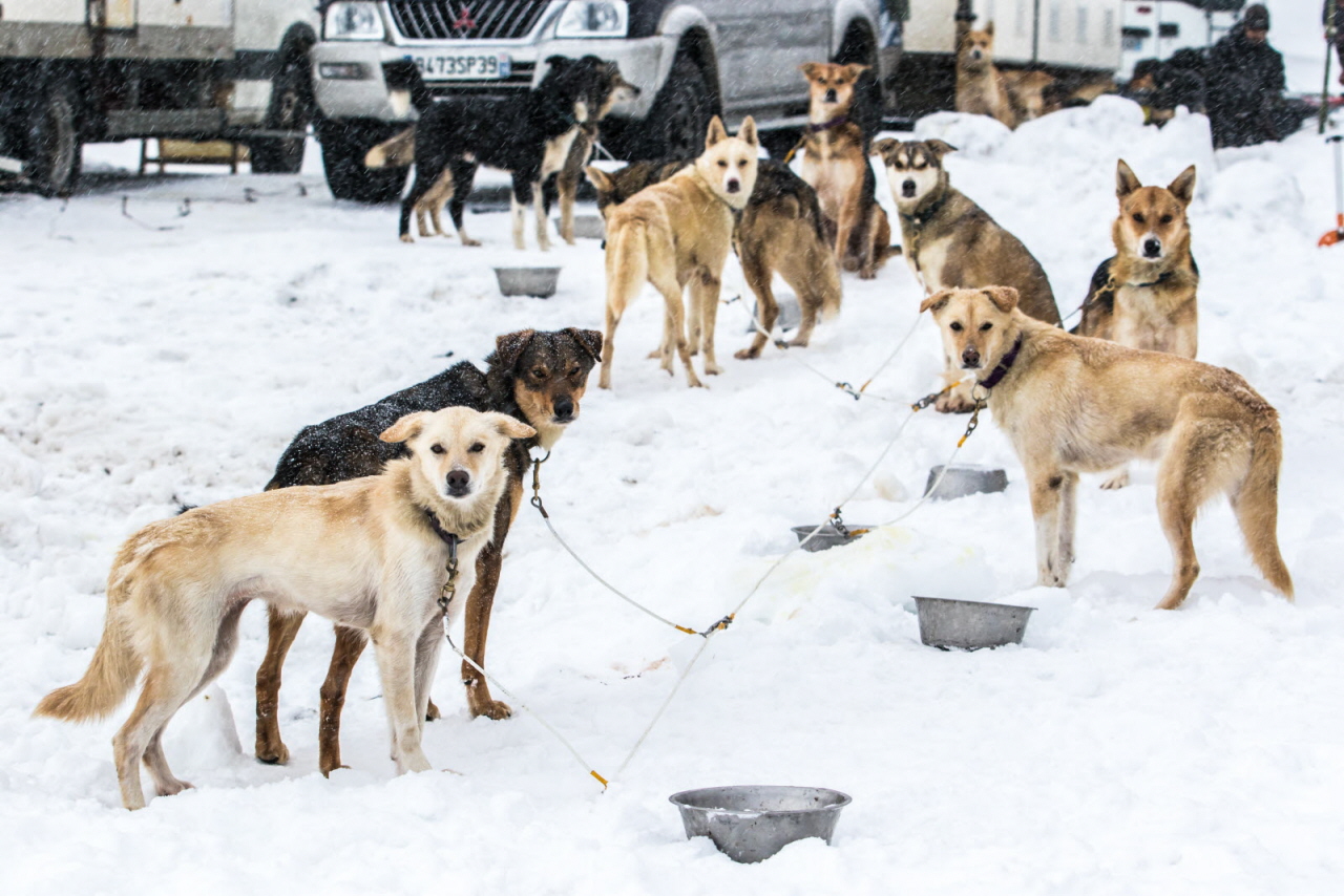 © Vincent Piccerelle