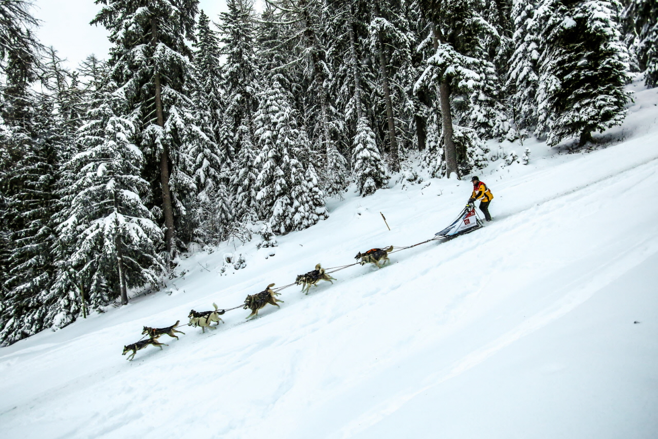 © Vincent Piccerelle