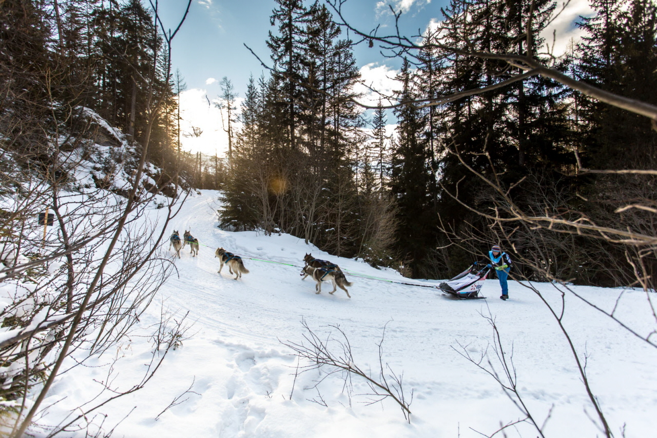 © Vincent Piccerelle