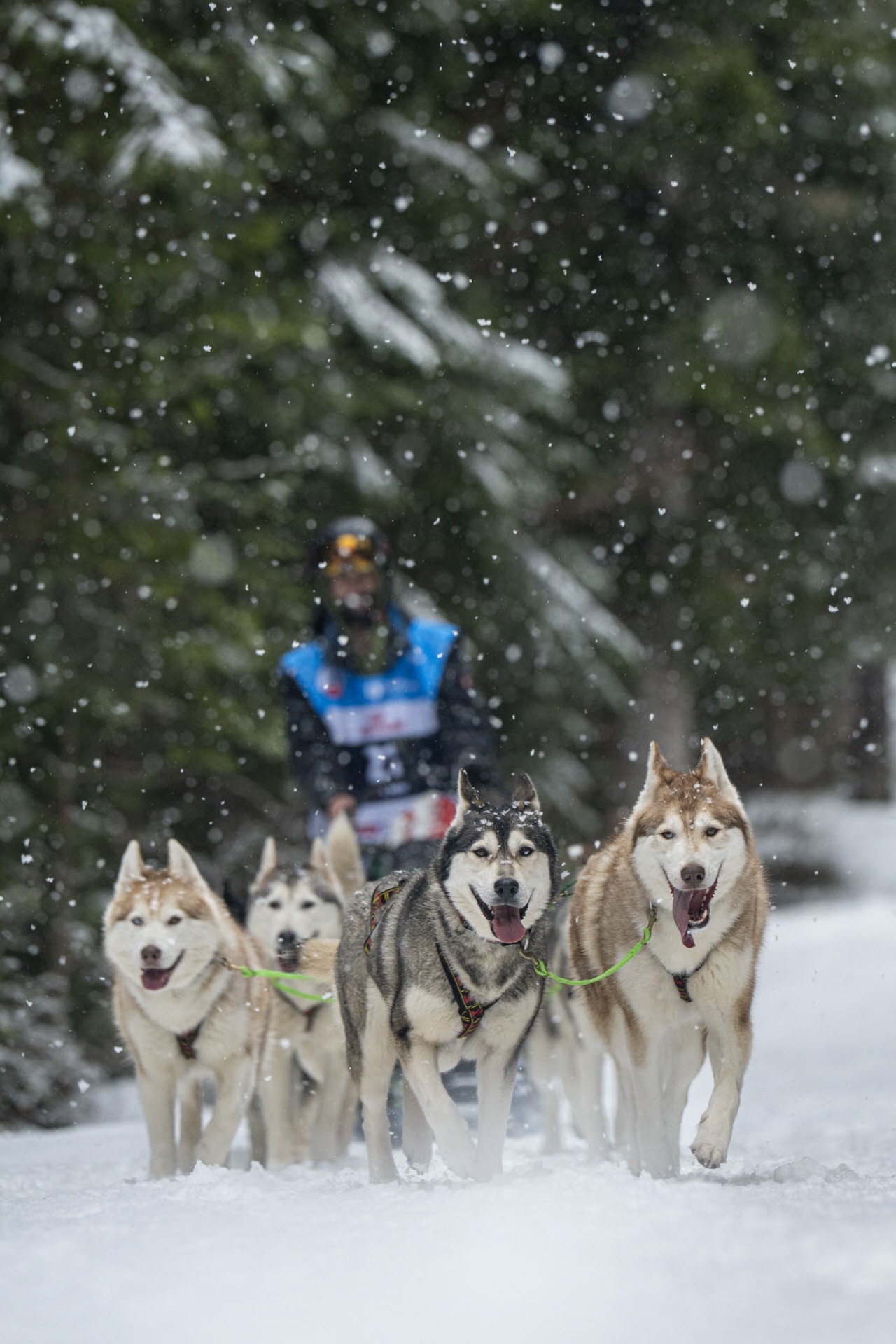 Presse LGO26 - 22.01.26 - Benoit Diacre - 6.jpg